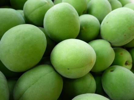 ume3.jpg